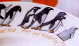Bridgewater Chatty Penguins