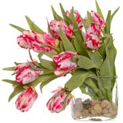 New Growth Designs